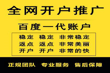 SEM竞价代运营实战技巧与案例